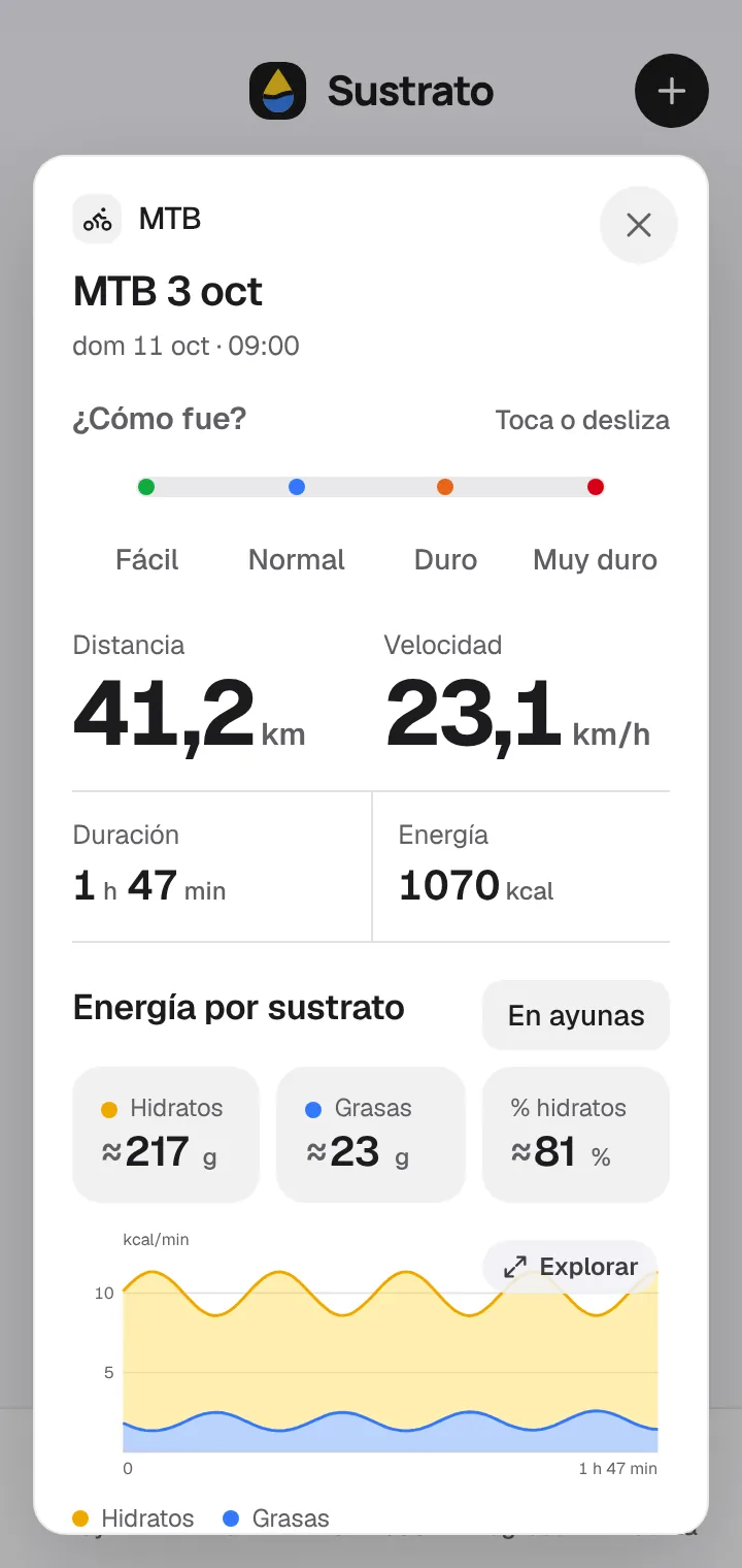 Detalle de una salida con la energía por sustrato