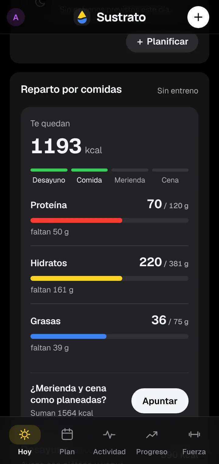 Reparto por comidas: lo que te queda de proteína, hidratos y grasas